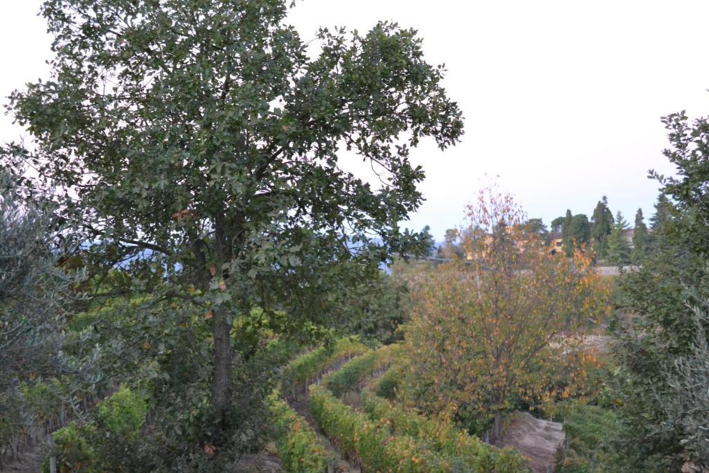 Agriturismo Costa Dei Platani Acqui Terme Εξωτερικό φωτογραφία