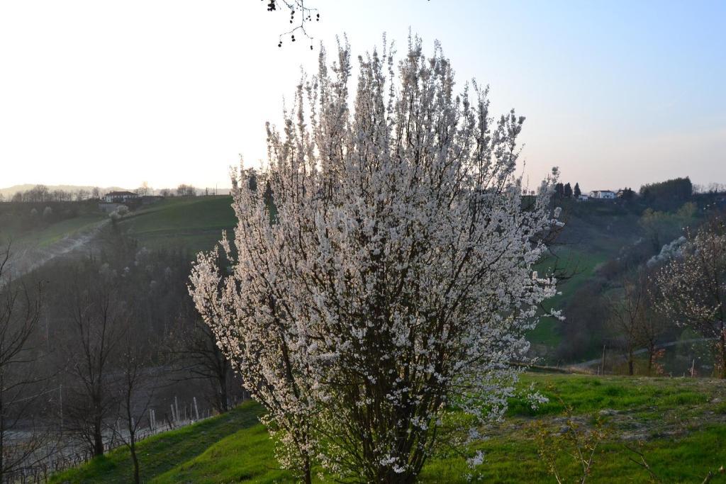 Agriturismo Costa Dei Platani Acqui Terme Εξωτερικό φωτογραφία