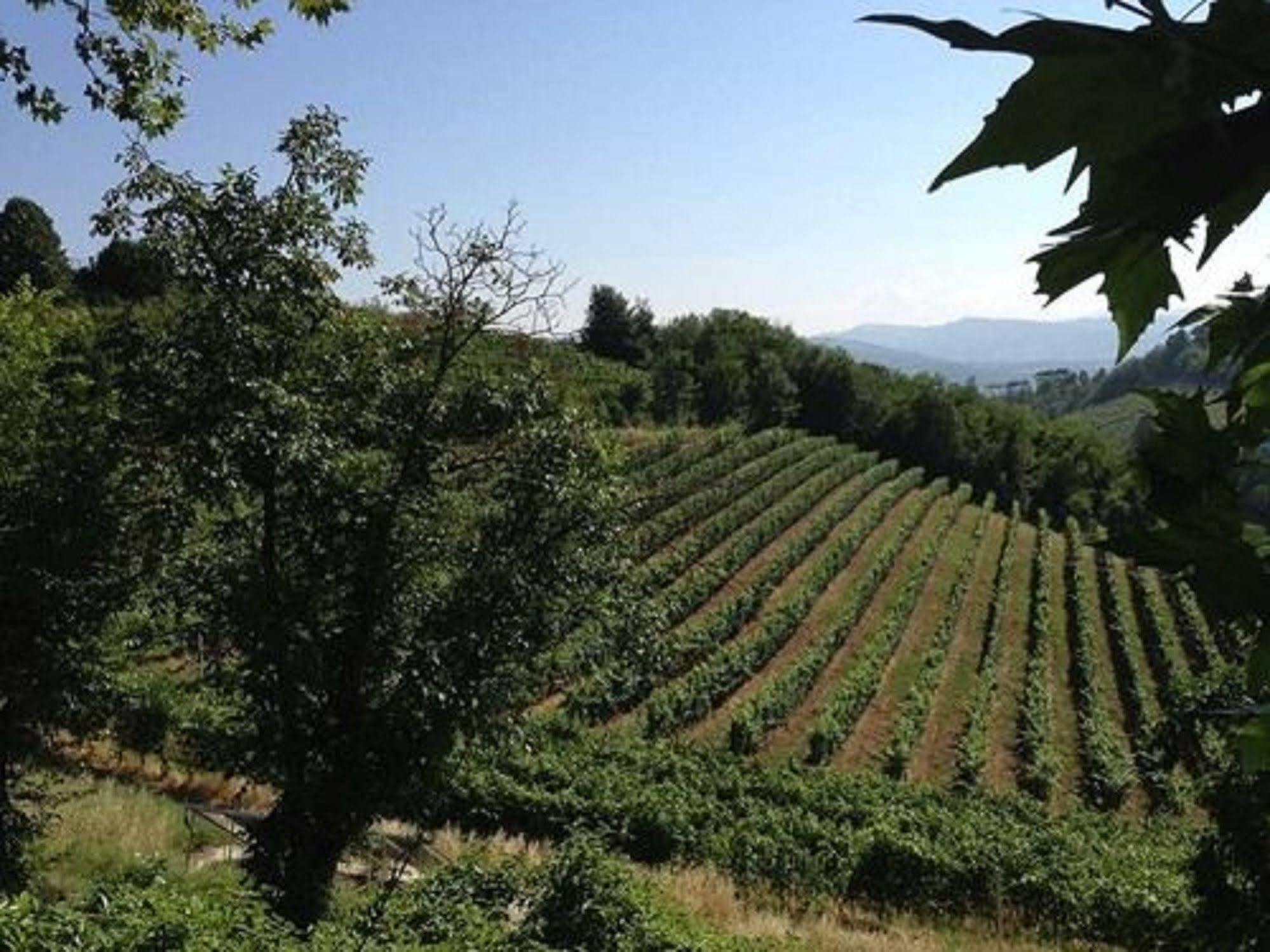 Agriturismo Costa Dei Platani Acqui Terme Εξωτερικό φωτογραφία