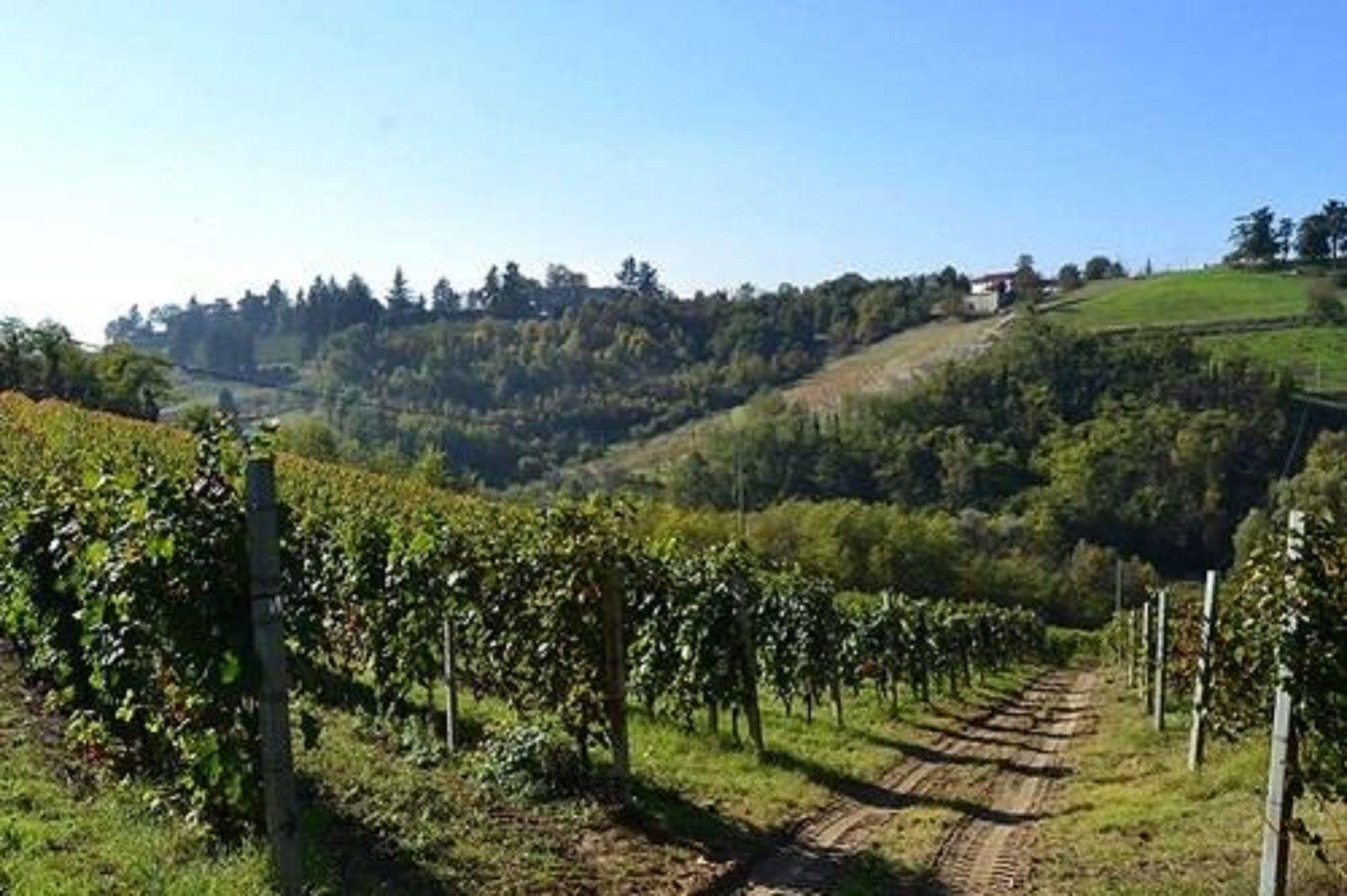 Agriturismo Costa Dei Platani Acqui Terme Εξωτερικό φωτογραφία