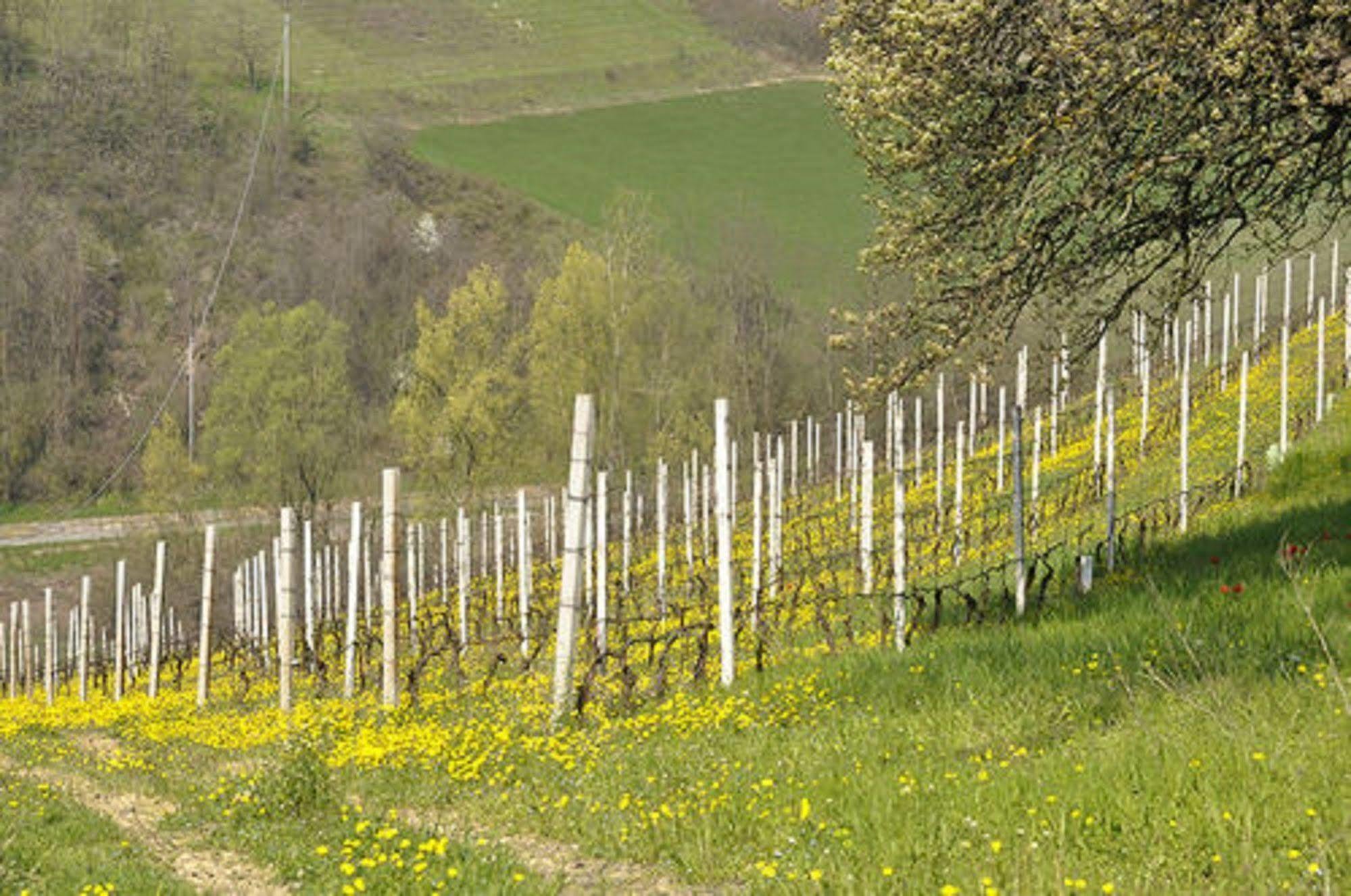 Agriturismo Costa Dei Platani Acqui Terme Εξωτερικό φωτογραφία
